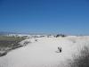 PICTURES/Roswell & White Sands/t_Big Dune Trail1.JPG
